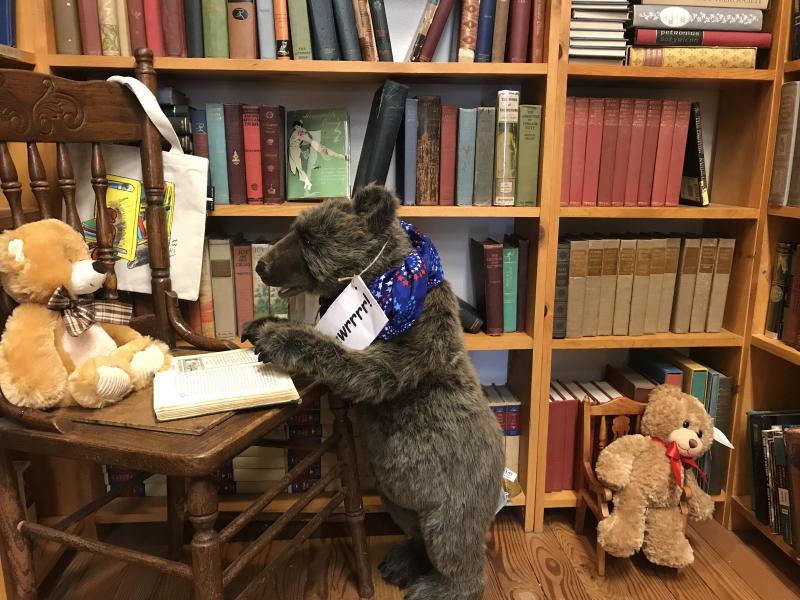 Books N Bears in Historic Old Town Florence by Taj Morgan Books N Bears in Historic Old Town Florence by Taj Morgan