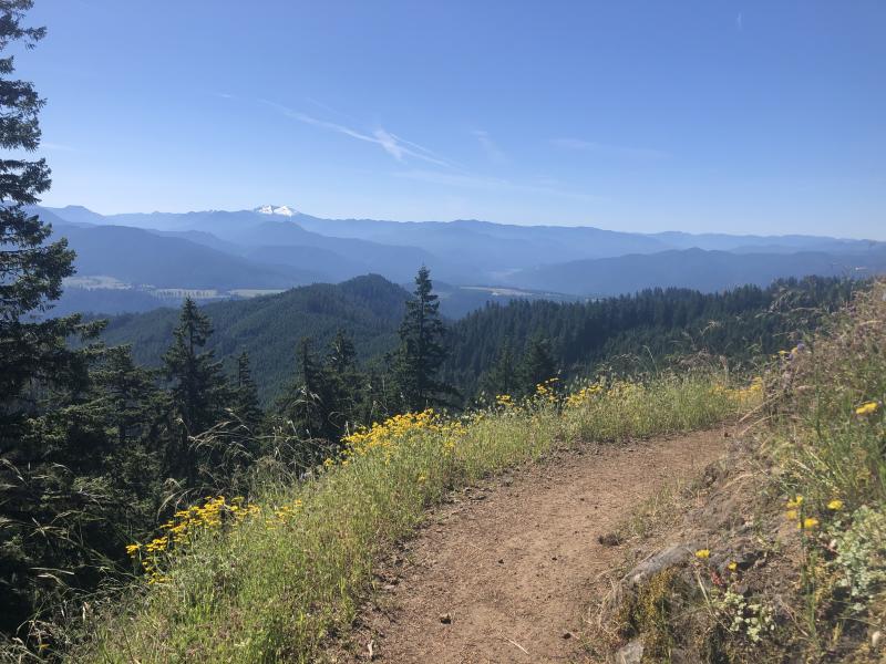 Alpine Trail viewpoint by Kari Westlund Alpine trail view with wildflowers in the foreground and snow-capped Cascade Mountains in the distance.