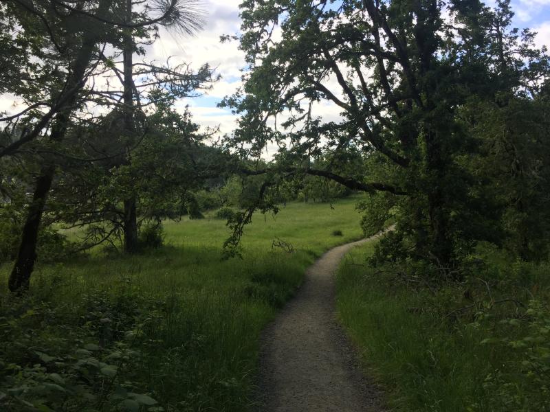 Ridgeline Trail by Melanie Griffin Ridgeline Trail by Melanie Griffin