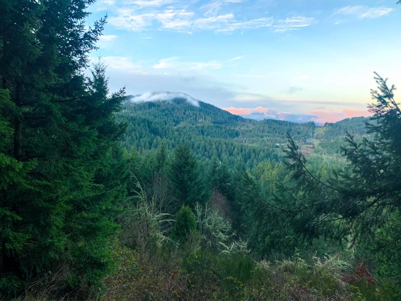 Mount Baldy Viewpoint by Melanie Griffin Mount Baldy Viewpoint by Melanie Griffin
