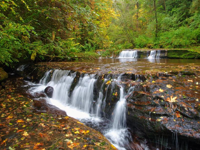Sweet Creek Falls in Autumn by Adam Sawyer Sweet Creek Falls in Autumn by Adam Sawyer