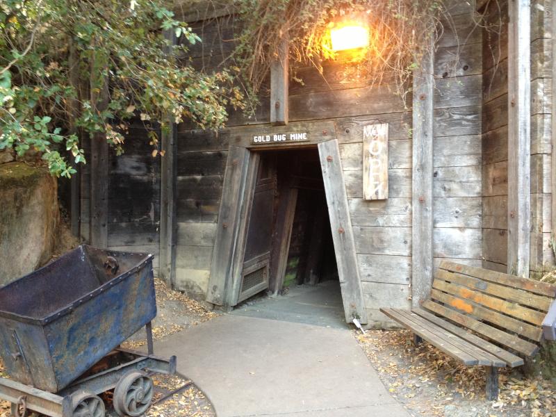 Gold Bug Mine
