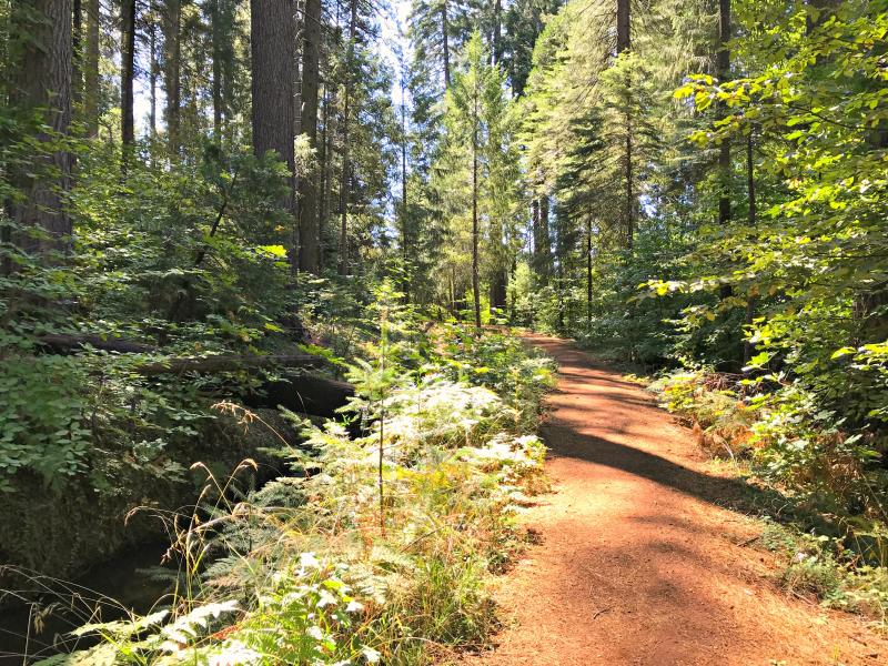 Harris Tree Farm Nature Trail