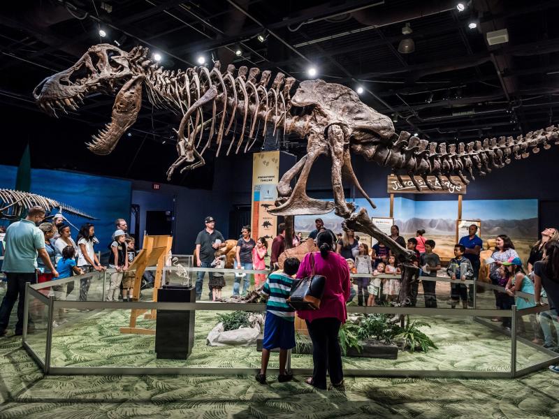 Orlando Science Center