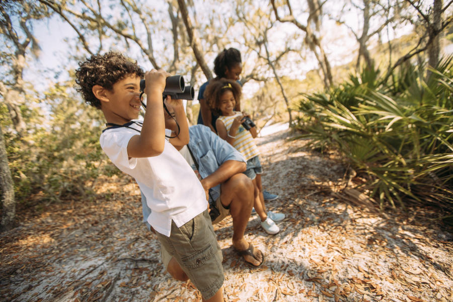 State Park Bird watching