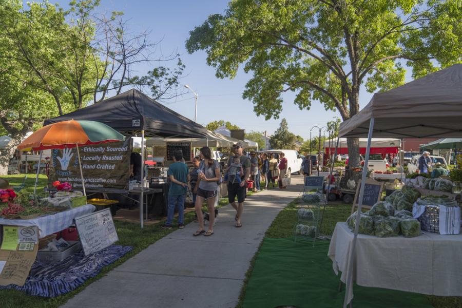 A sidewalk in a park lined with vendors at the Downtown Growers Market