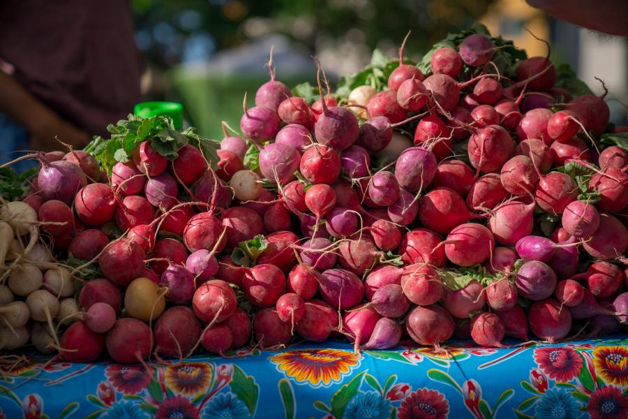 Farmers Market In Albuquerque