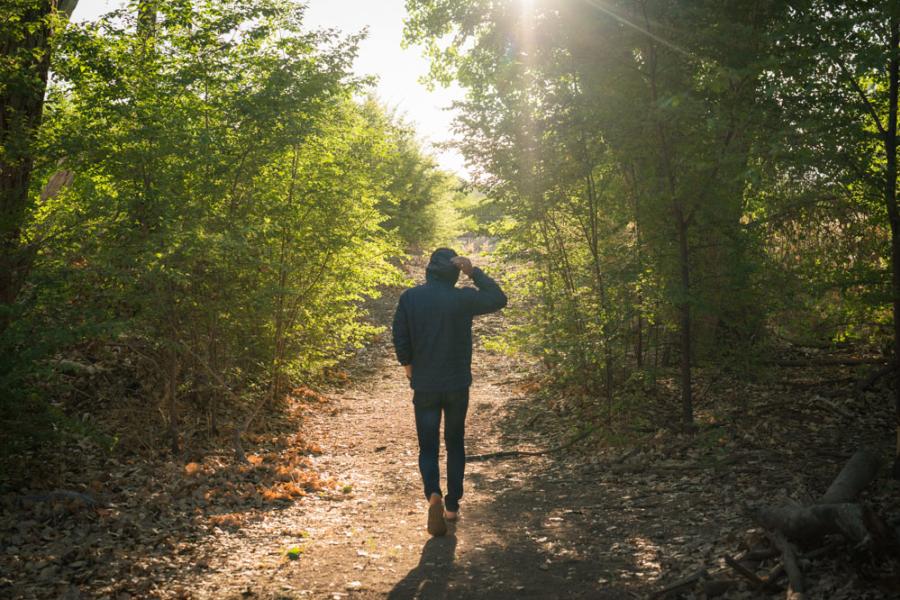 Bosque Walk Hike
