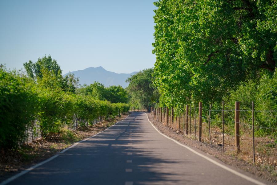 Bosque Bike Path