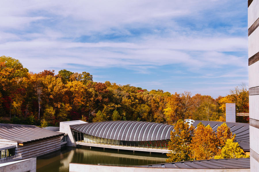 Exterior image of Crystal Bridges Museum of American Art with fall leaves surrounding the museum