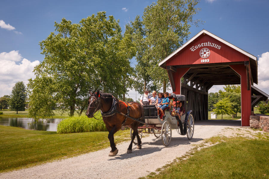 Horse and Carriage by Essenhaus Bridge