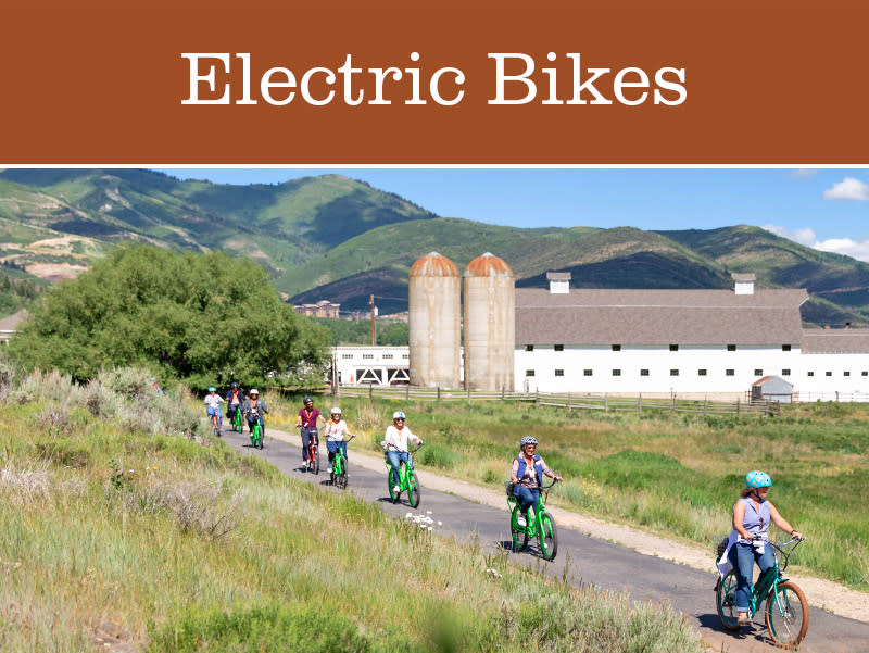 Electric Bikes