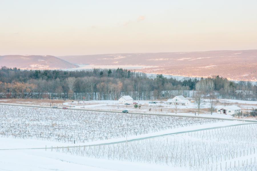 Winter Landscape