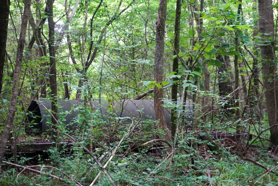 Dallas Fanning Nature Preserve