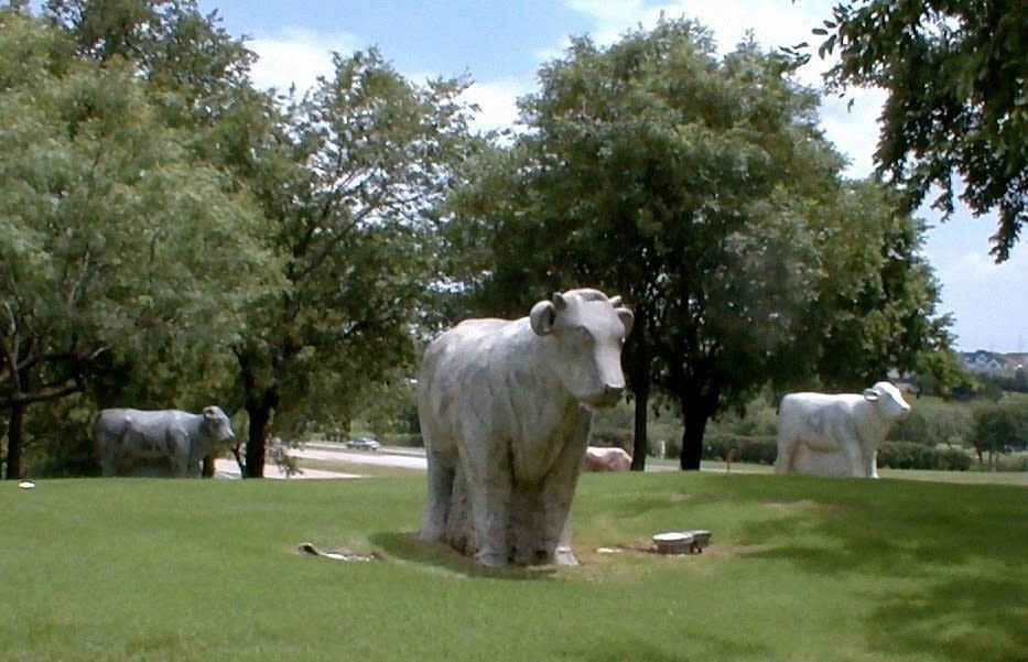 Marble Cows Sculpture