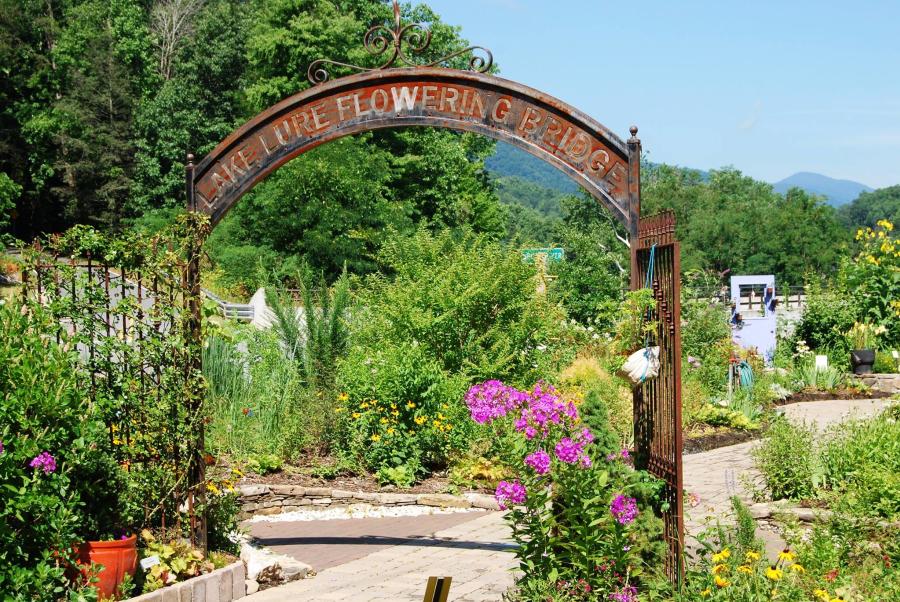 Lake Lure Flowering Bridge