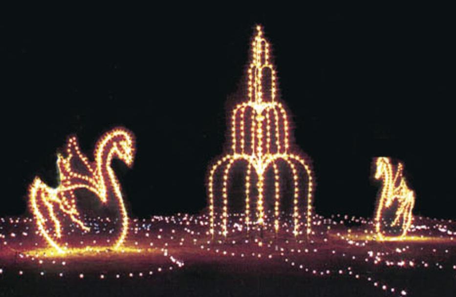 winter wonderland swans