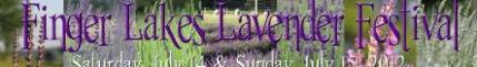finger-lakes-lavender-festival.JPG