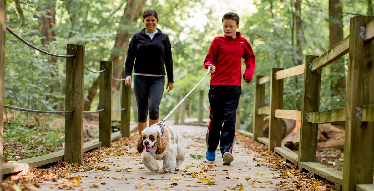 Nature & Outdoor Recreation 