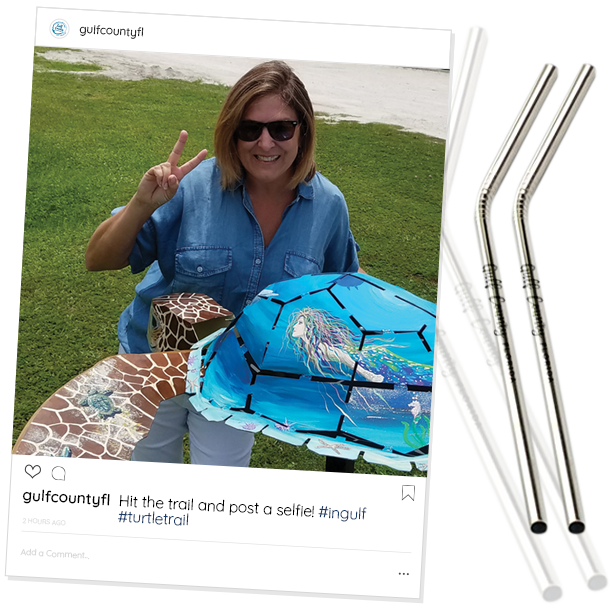 Turtle Trail social campaign