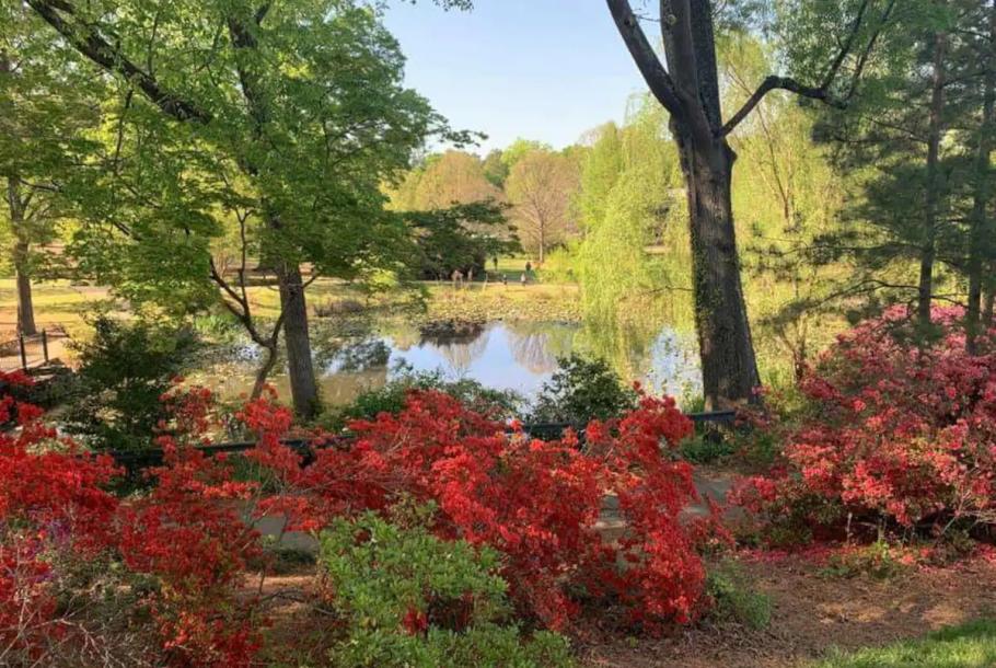 Glencairn Garden
