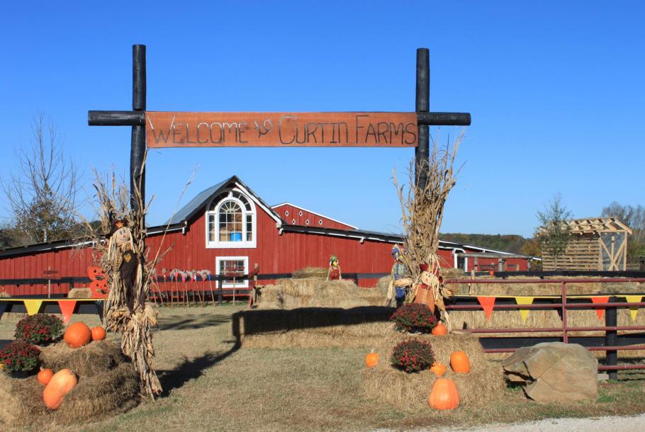 79_CurtinFarms1.jpg