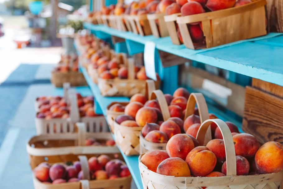 Peach Tree Orchard Peaches