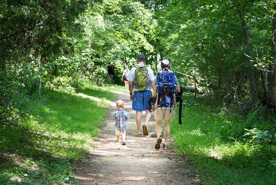 Carolina Thread Trail