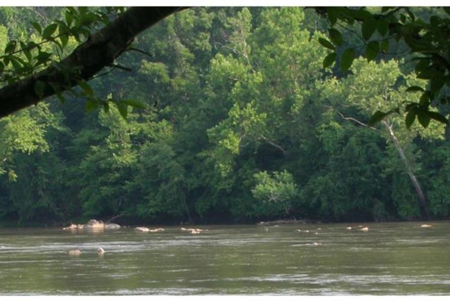 riverpark.jpg