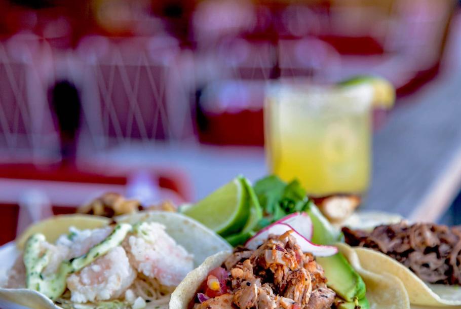taco molino