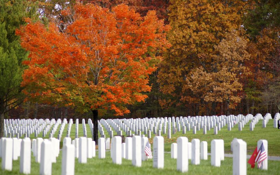 Quantico Triangle Need to translate quantico from english and use correctly in a sentence? quantico triangle