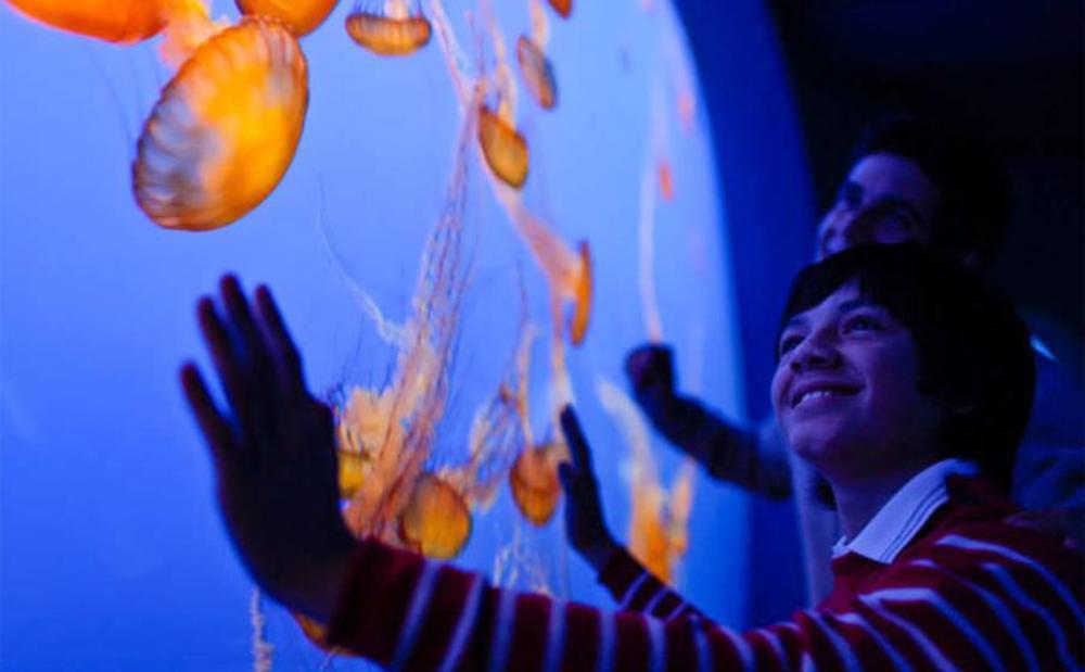 Monterey Bay Aquarium