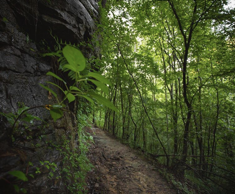 hurricane creek park