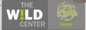 wild-center.JPG