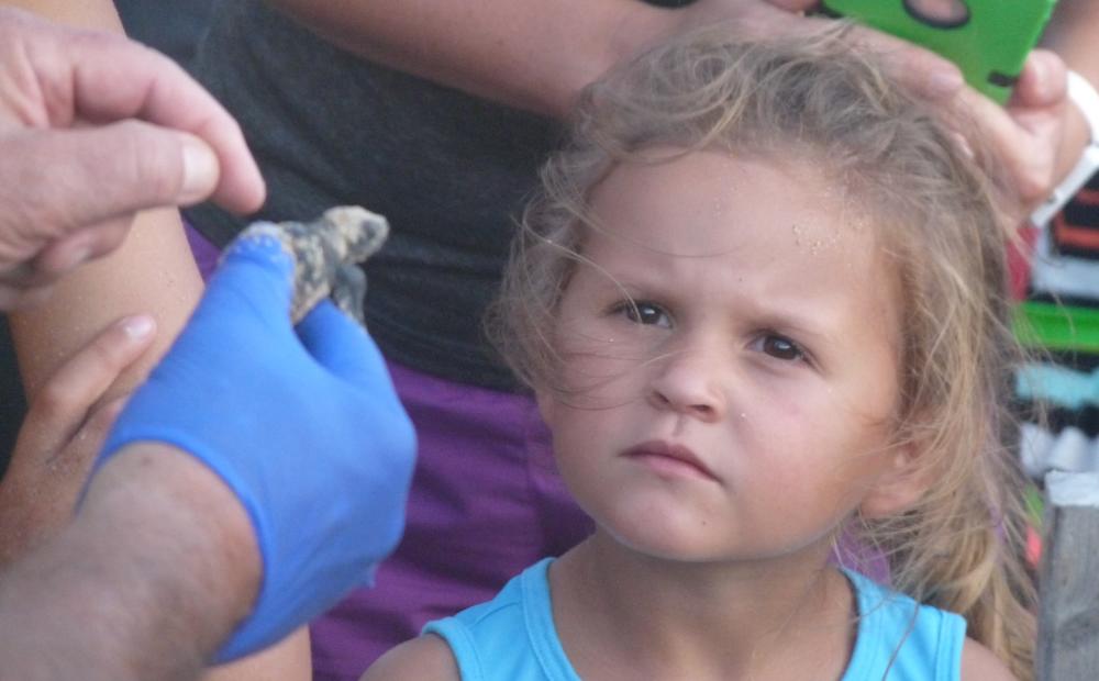 Child and a baby sea turtle