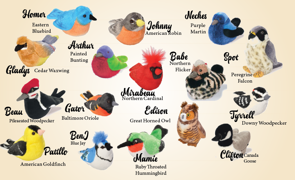 Meet the Birdies
