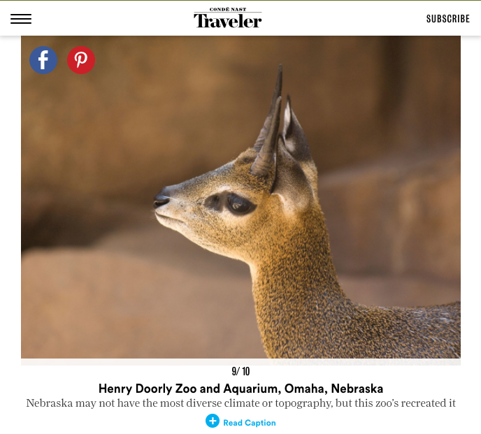 10 Best Zoos in the U.S.