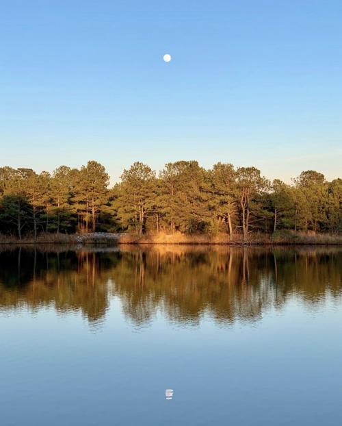 Moon over forest and lake at Pleasure House Point Natural Area in Virginia Beach