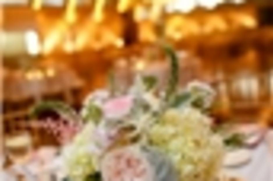 Busy Bee Florist East Greenwich, RI 02818