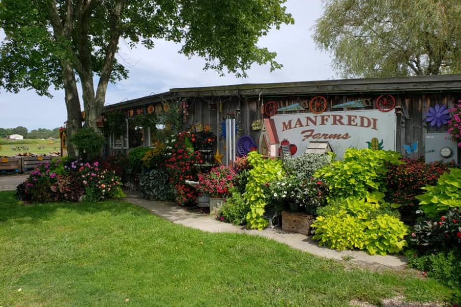 manfredi farms.jpg
