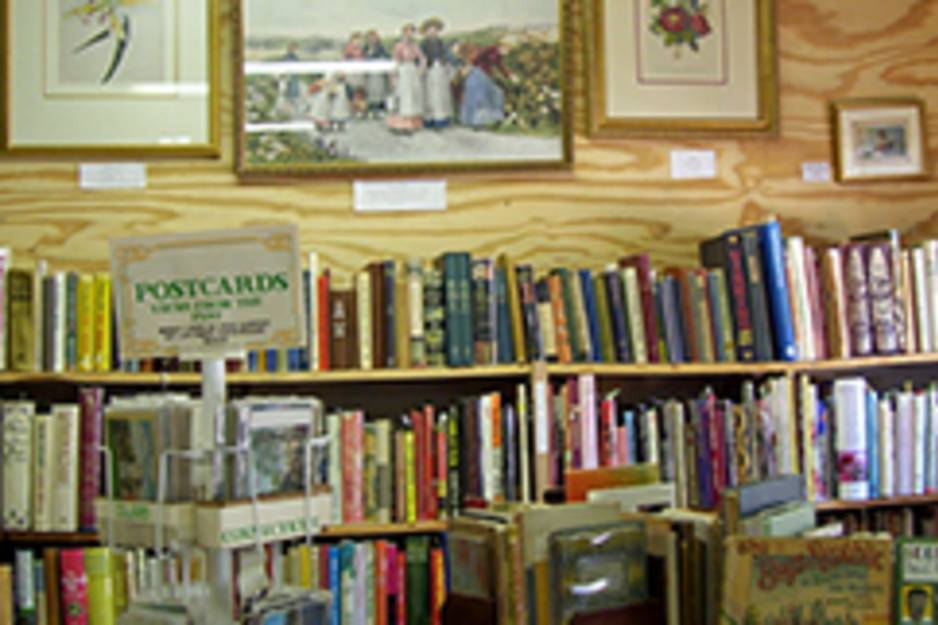 allison goodsell books.jpg