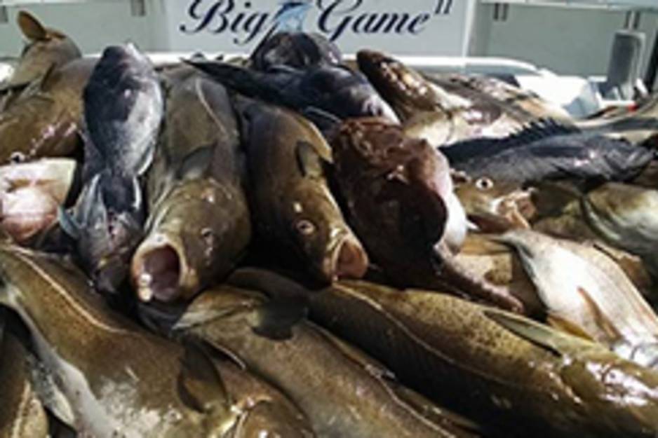 big gam sport fishing.jpg