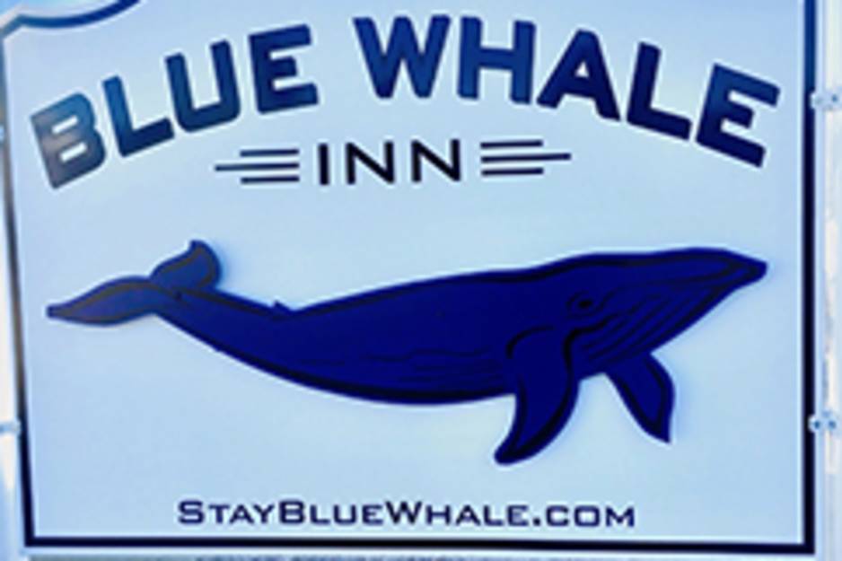 blue-whale-inn-misquamicut-beach-rhode-island-staybluewhale.jpg