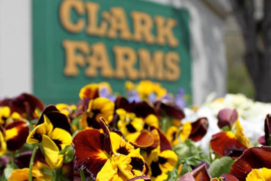 clark farms