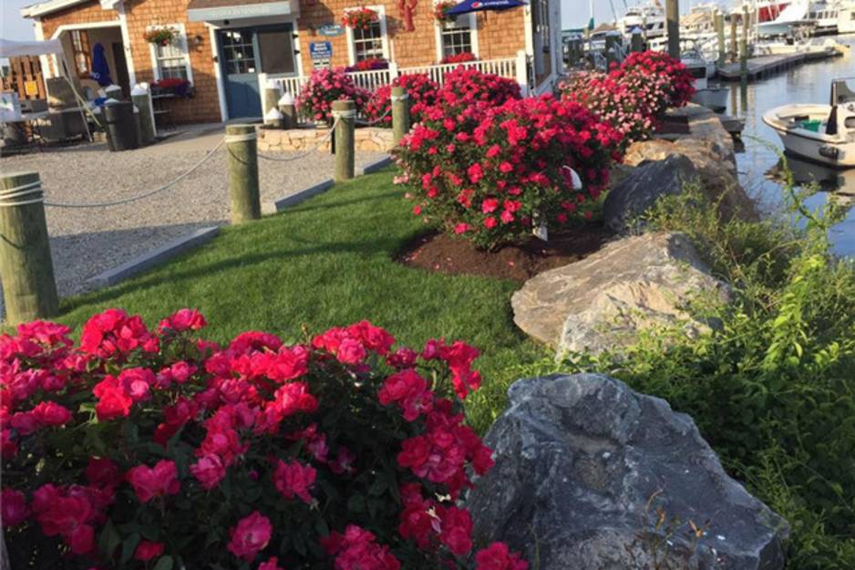 gardners wharf.jpg
