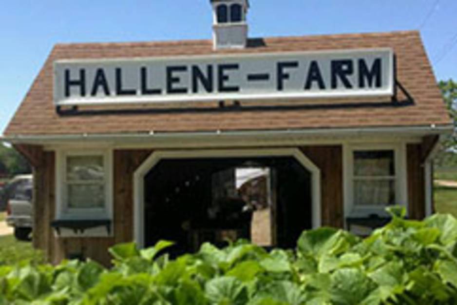 hallene farm.jpg