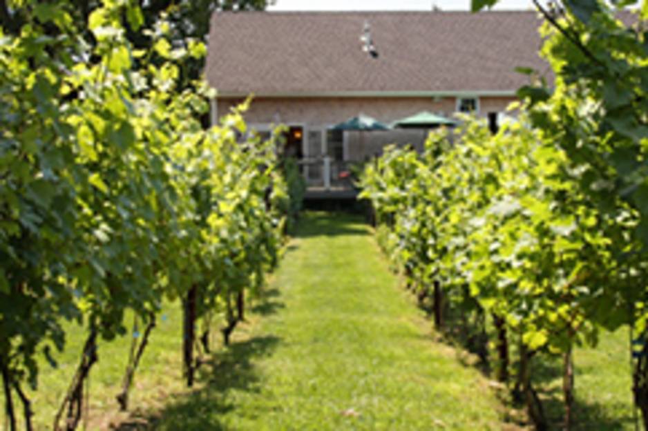 Langworthy Farm Winery Westerly Ri