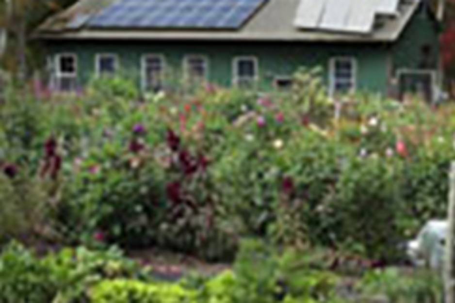shannock organic farm.jpg