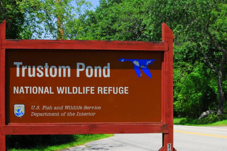 trustom pond 1