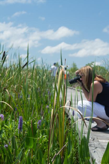 Photographer on Creole Nature Trial | Lake Charles, Louisiana